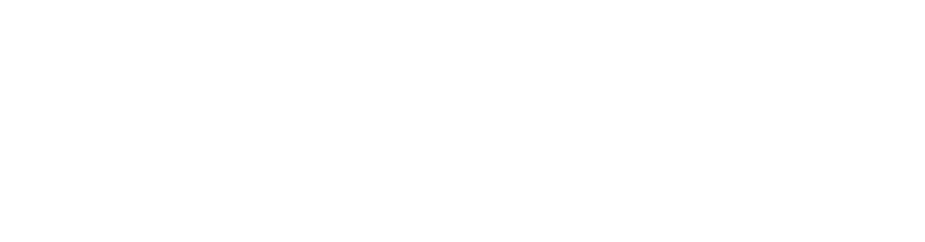 EAA Logo 3 (White)